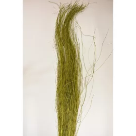 Spagetti fű 150g 120cm mohazöld