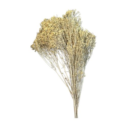 Broom Bloom 100g falfestékes fehér