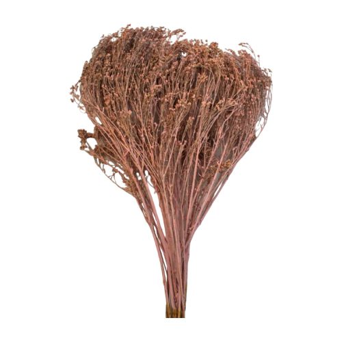 Broom Bloom 100g falfestékes rózsaszín