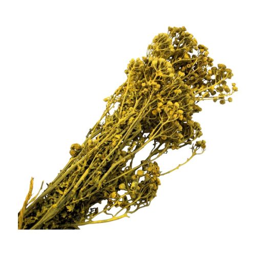 Broom Bloom 100g falfestékes sárga