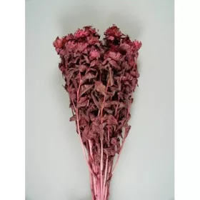 Sáfrány 150g rózsaszín