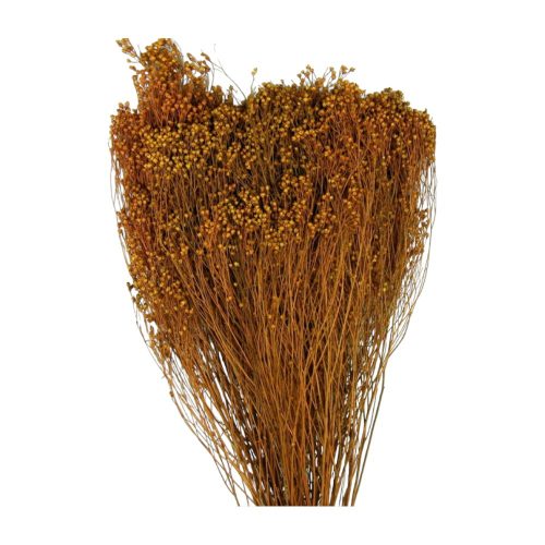 Broom Bloom 100g narancs