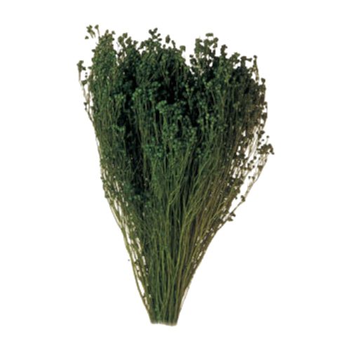 Broom Bloom 100g söt.zöld