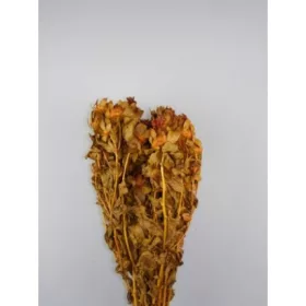 Sáfrány 150g narancs