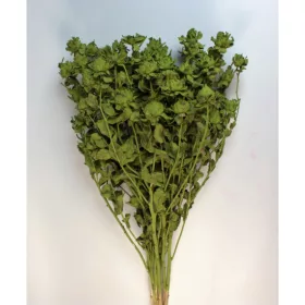 Sáfrány 150g falfestékes olíva