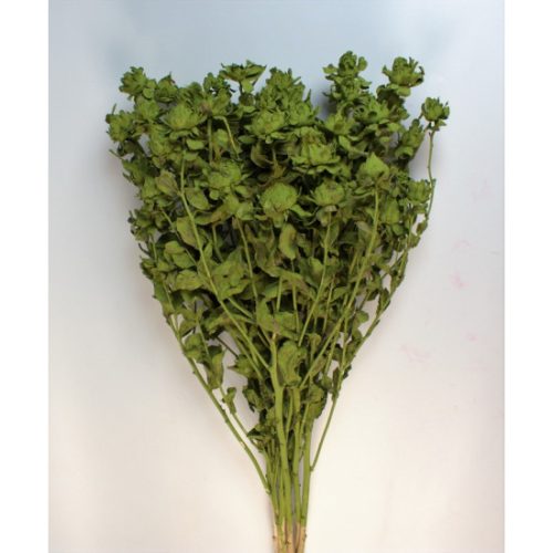 Sáfrány 150g falfestékes olíva