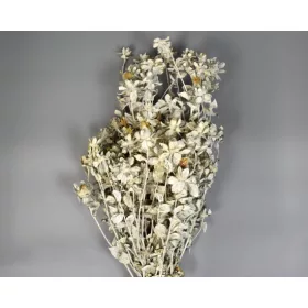 Sáfrány 150g falfestékes fehér