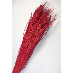 Rizs 100g piros