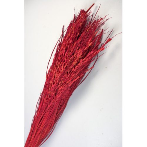 Rizs 100g piros