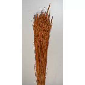 Rizs 100g narancs
