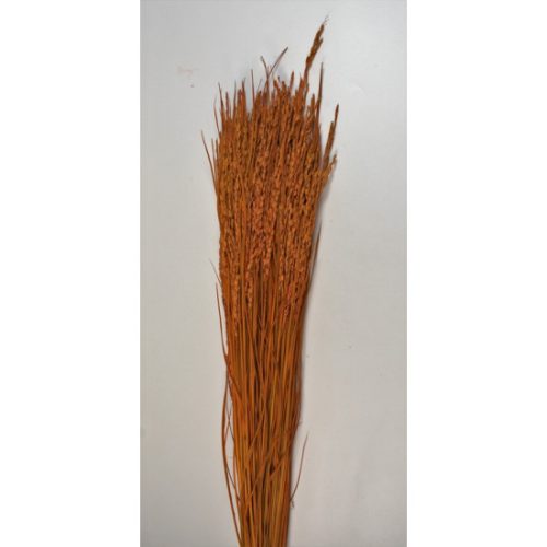 Rizs 100g narancs