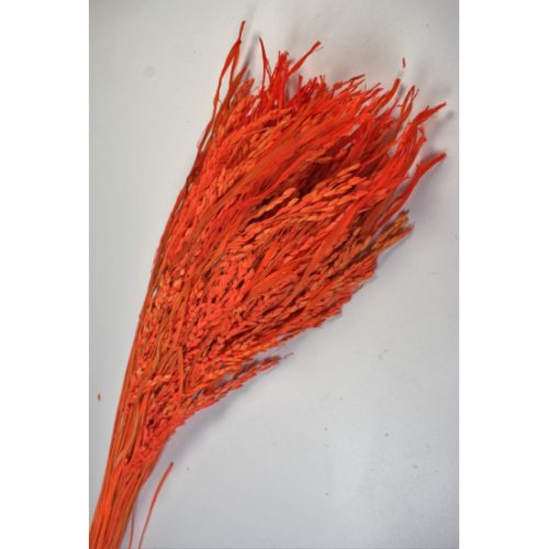 Rizs 100g feh.narancs