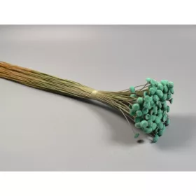 Pavao 80g türkiz