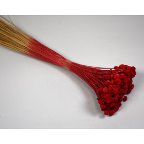 Pavao 80g piros