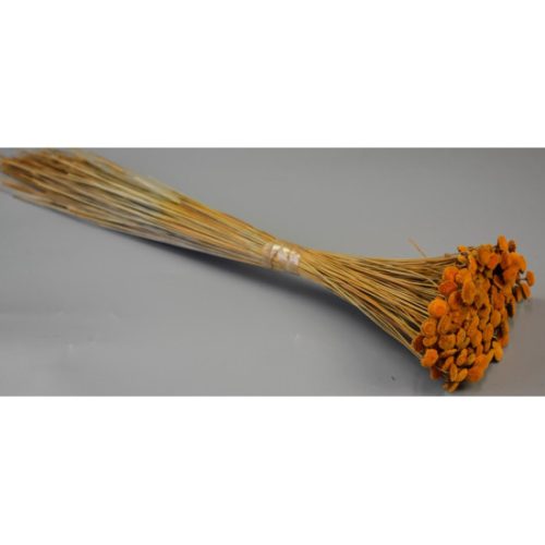 Pavao 80g narancs