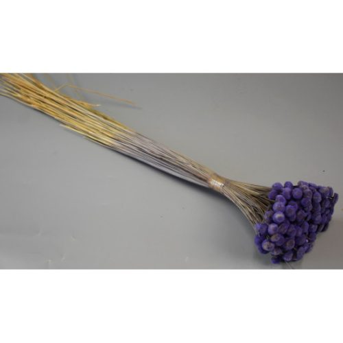 Pavao 80g lila