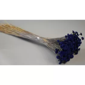 Pavao 80g kék