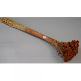 Pavao 80g barna