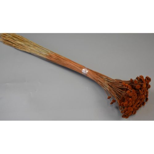 Pavao 80g barna
