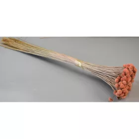 Pavao 80g barack