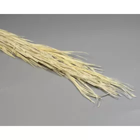 Pálmalevél rojtos 110cm fehérített
