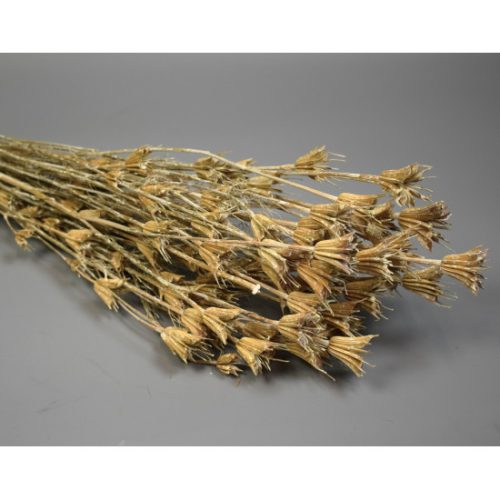 Nigella orientale 100g zúzmarás