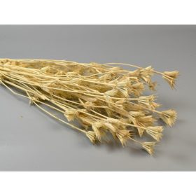 Nigella orientale 100g fehérített