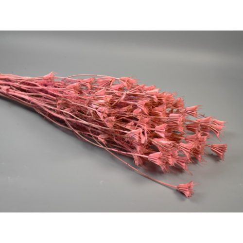 Nigella orientale 100g feh.rózsaszín