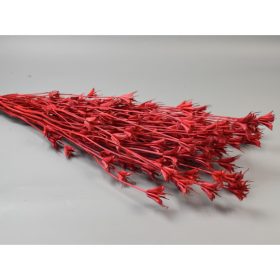 Nigella orientale 100g feh.piros