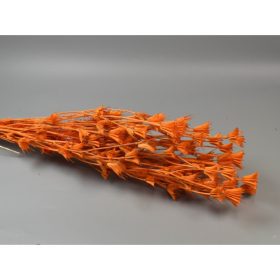 Nigella orientale 100g feh.narancs