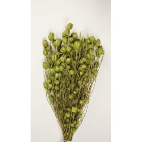 Nigella damascena 100g vil.zöld