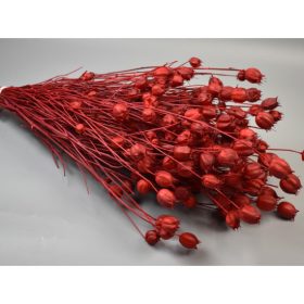 Nigella damascena 100g piros