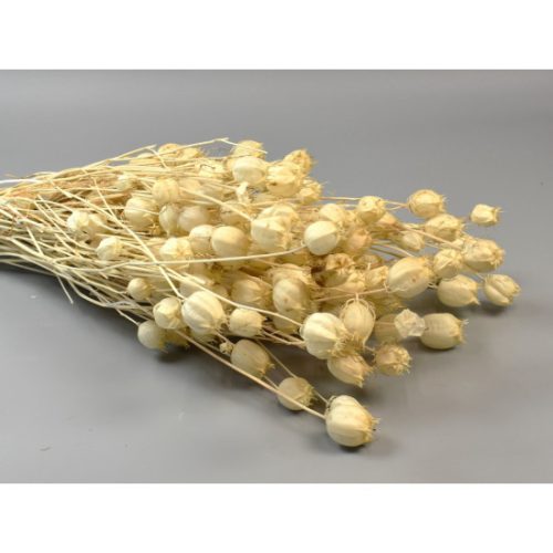 Nigella damascena 100g fehérített