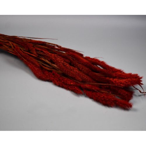 Muhar 100g piros
