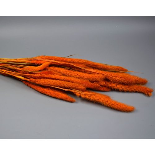 Muhar 100g feh.narancs
