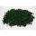 Lycopodium prep. vil.zöld