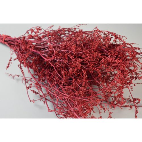 Limonium 60g piros