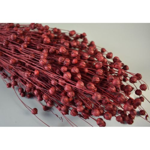 Len 100g piros