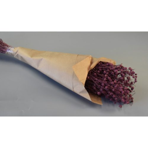 Len 100g papírban falfestékes szeder