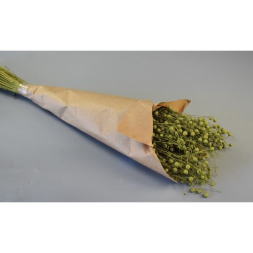 Len 100g papírban falfestékes oliva