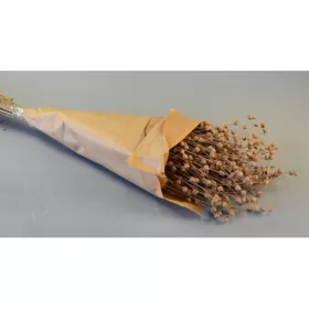 Len 100g papírban falfestékes cappuccino