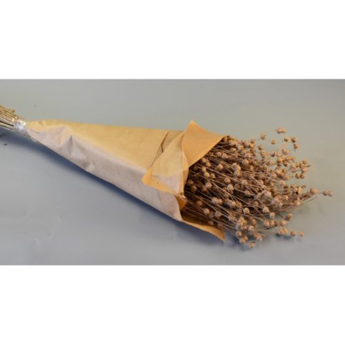 Len 100g papírban falfestékes cappuccino