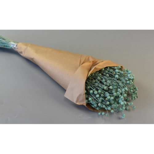 Len 100g papírban falfestékes aqua
