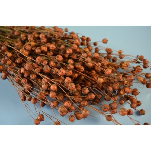 Len 100g narancs