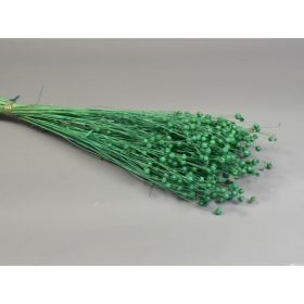 Len 100g feh.türkiz