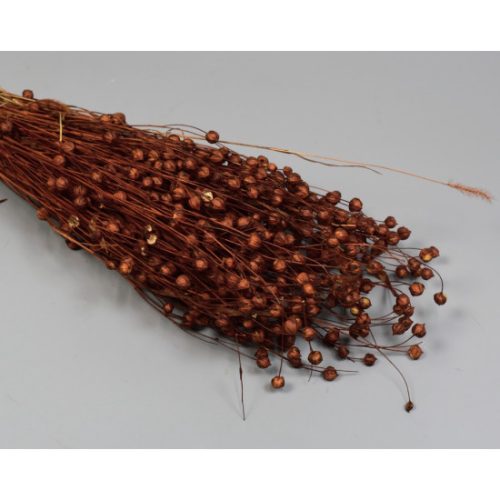 Len 100g barna