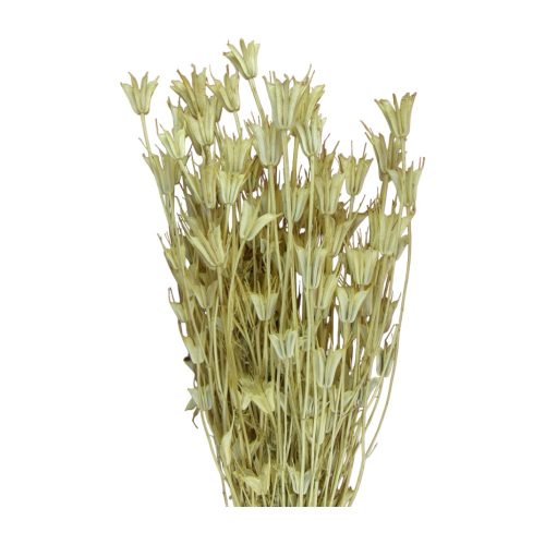 Nigella orientale 100g fehérített