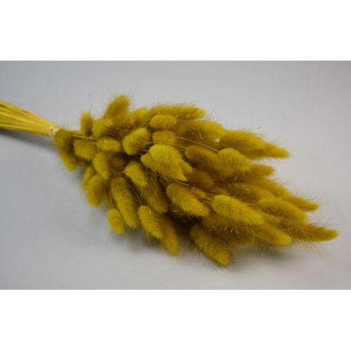 Lagurus 50g sárga