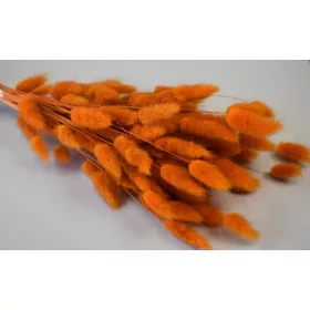Lagurus 50g narancs