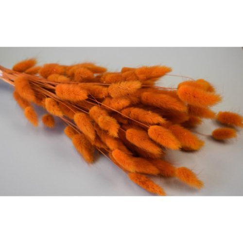 Lagurus 50g narancs